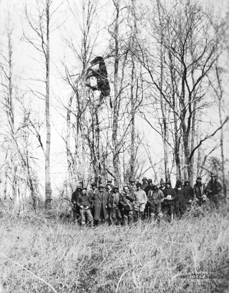 Dead Horse Washed Into Tree By Flood, near Louisville Kentucky, 1937
