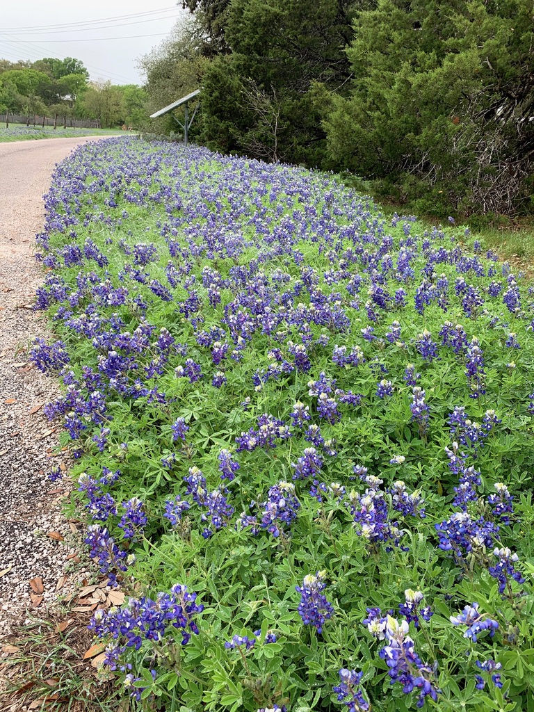 UNADJUSTEDNONRAW_thumb_4578